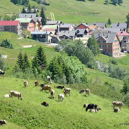 Hotel Stella Alpina - & Wellness Spa, The Originals Relais Bedretto