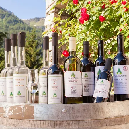 Stella Alpina - & Wellness Spa, The Originals Relais Hotel